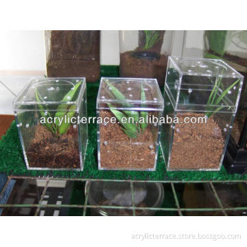 acrylic pet spider case - db131200104
